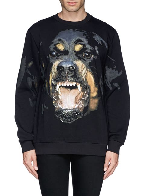 rottweiler sweatshirt givenchy small|Givenchy rottweiler shirt.